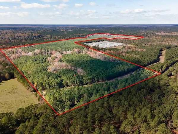 171 Acres of Recreational Land for Sale in San Augustine, Texas