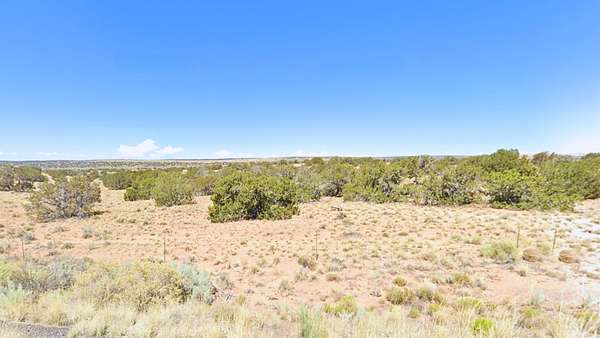 1 Acre of Residential Land for Sale in Sanders, Arizona