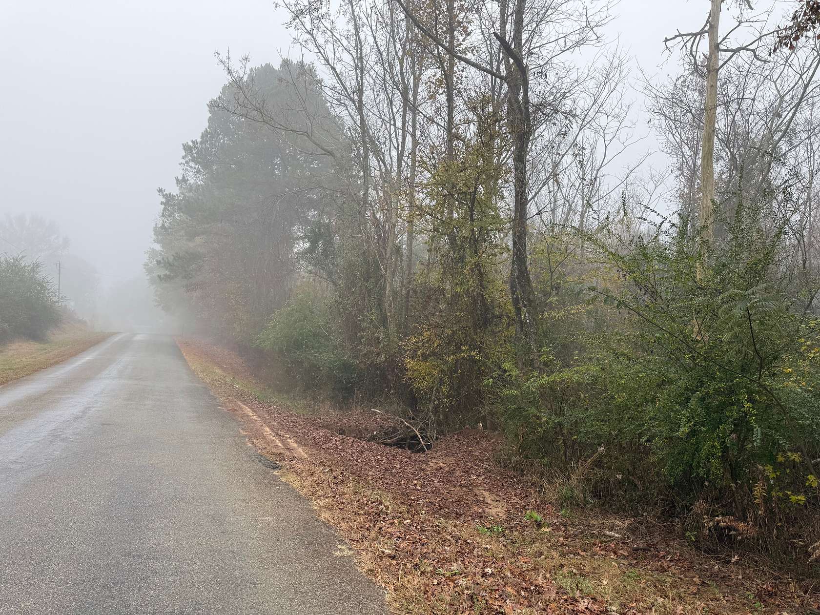 77 Acres of Land for Sale in Liberty Hill, Louisiana