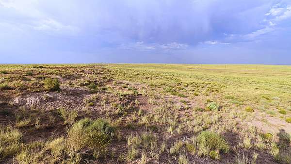 1 Acre of Residential Land for Sale in Holbrook, Arizona