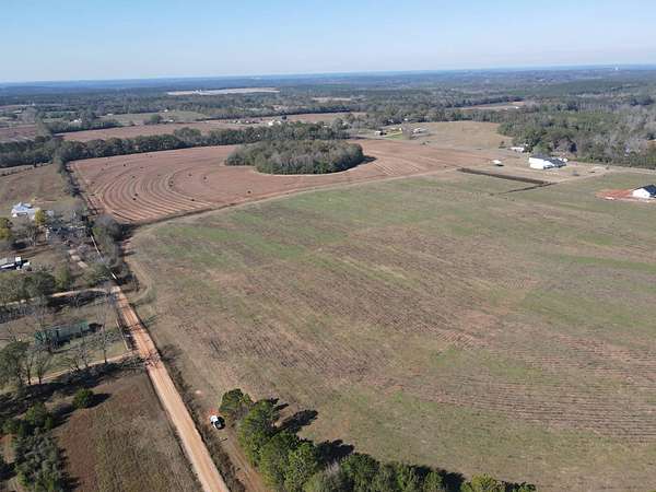 9.3 Acres of Residential Land for Sale in New Brockton, Alabama