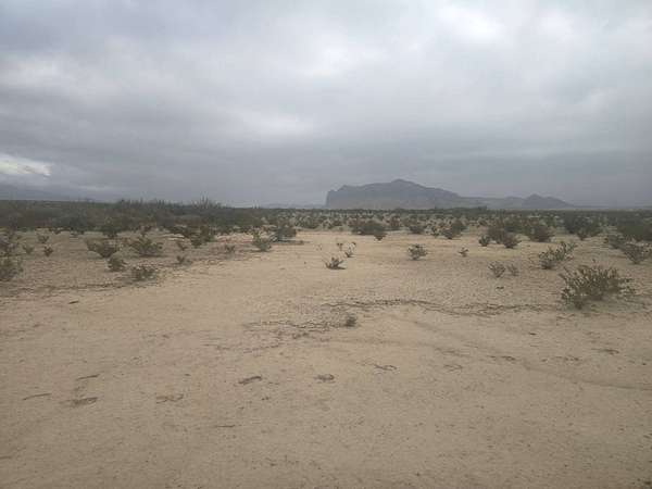5 Acres of Residential Land for Sale in Alpine, Texas