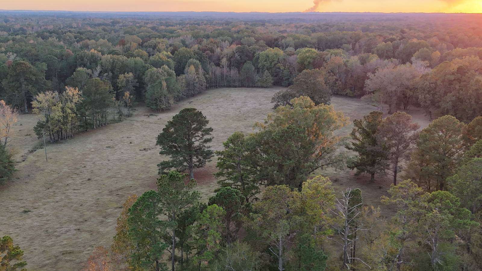14 Acres of Land for Sale in Montgomery, Alabama