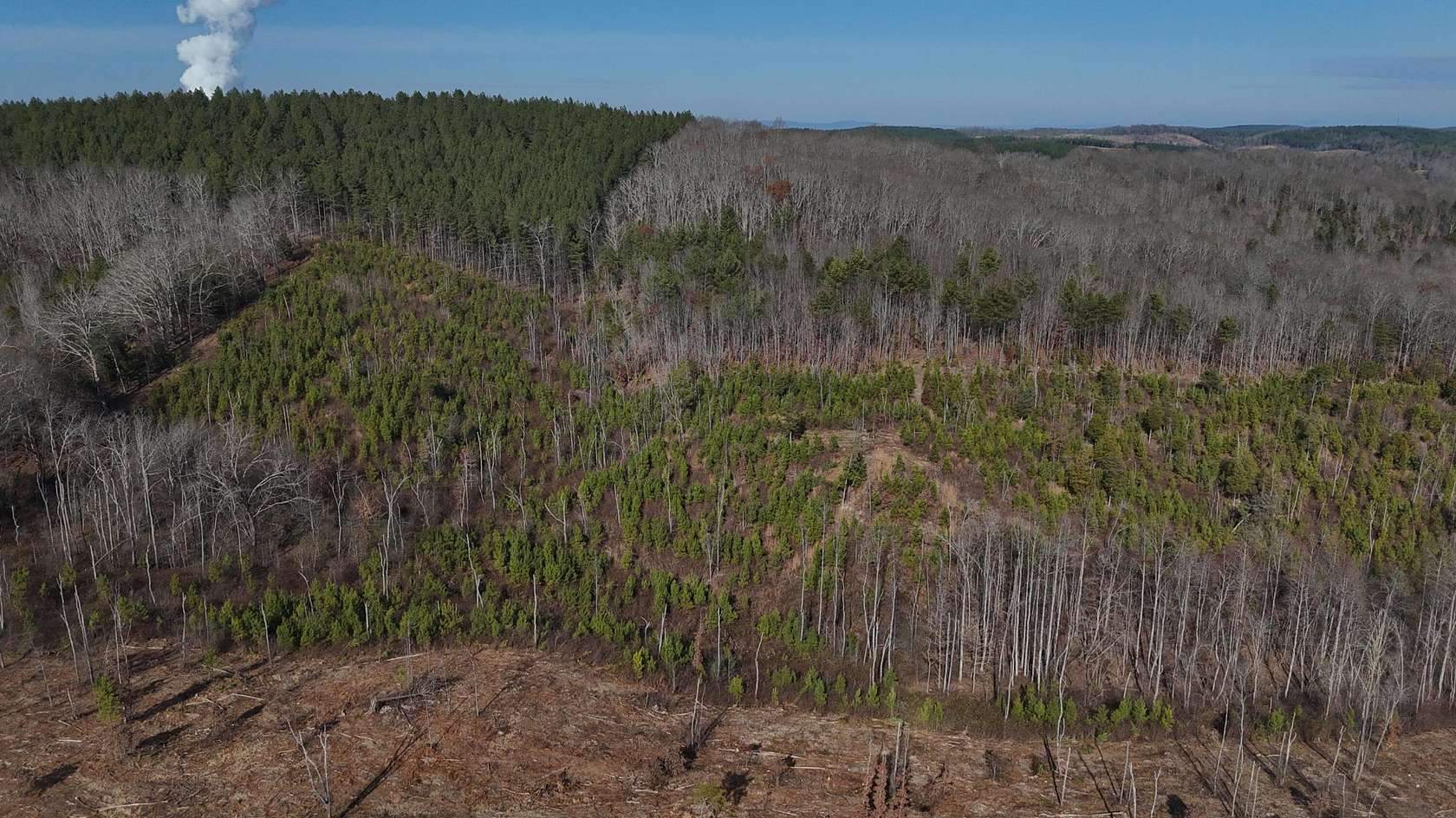 12.1 Acres of Land for Sale in Decatur, Tennessee