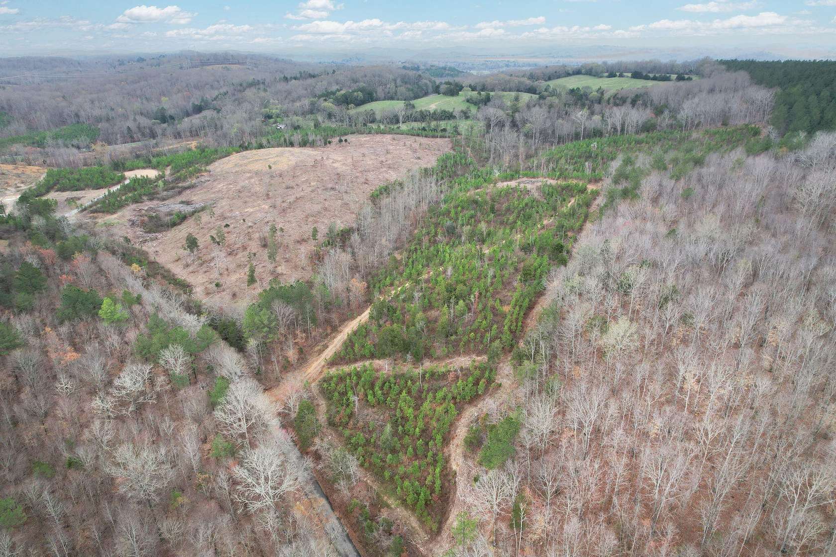 12.1 Acres of Land for Sale in Decatur, Tennessee