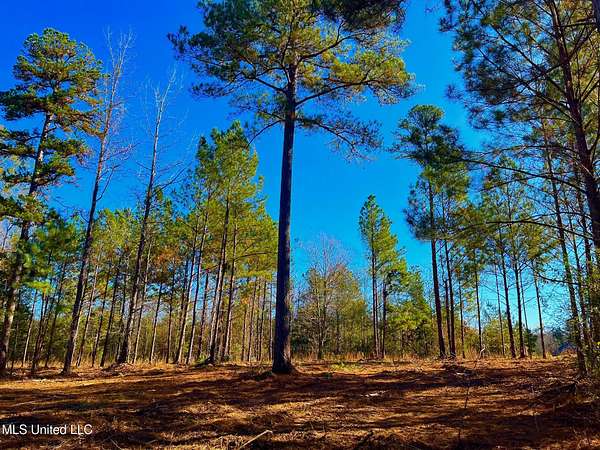 38.8 Acres of Recreational Land for Sale in Wesson, Mississippi