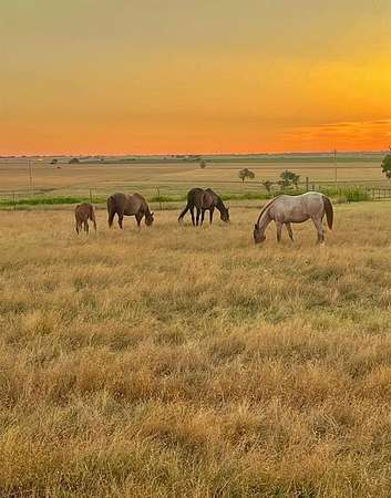 24.8 Acres of Agricultural Land for Sale in Blair, Oklahoma
