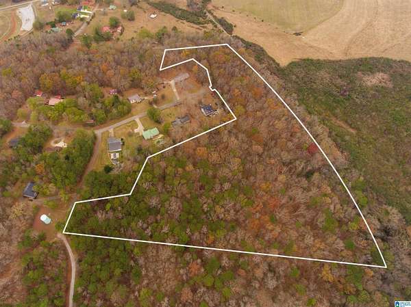 18.8 Acres of Land for Sale in Alexandria, Alabama