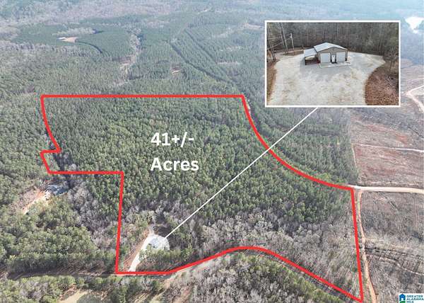 41 Acres of Recreational Land for Sale in Roanoke, Alabama