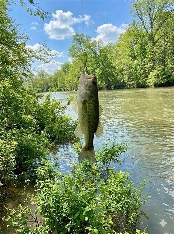 25.1 Acres of Improved Recreational Land for Sale in Muse, Oklahoma