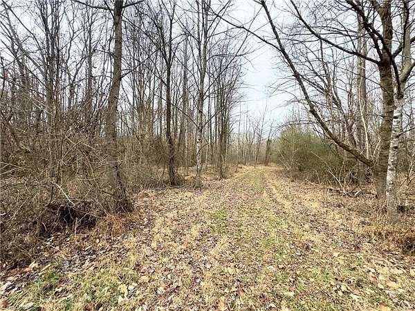 10.5 Acres of Recreational Land for Sale in Jonesville, North Carolina