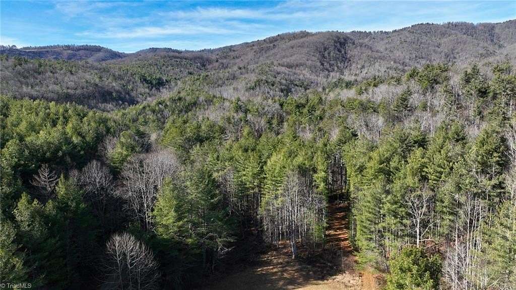 23.6 Acres of Recreational Land for Sale in Purlear, North Carolina