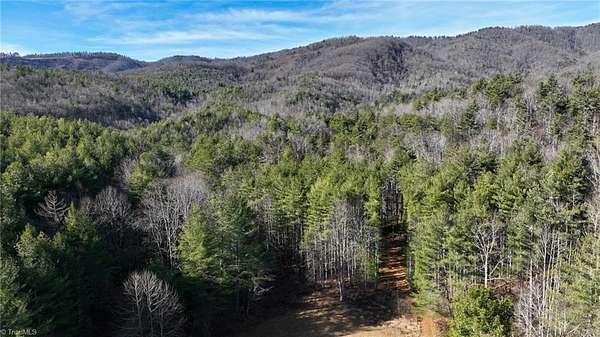 23.6 Acres of Recreational Land for Sale in Purlear, North Carolina