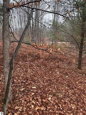 1 Acre of Land for Sale in Interlochen, Michigan