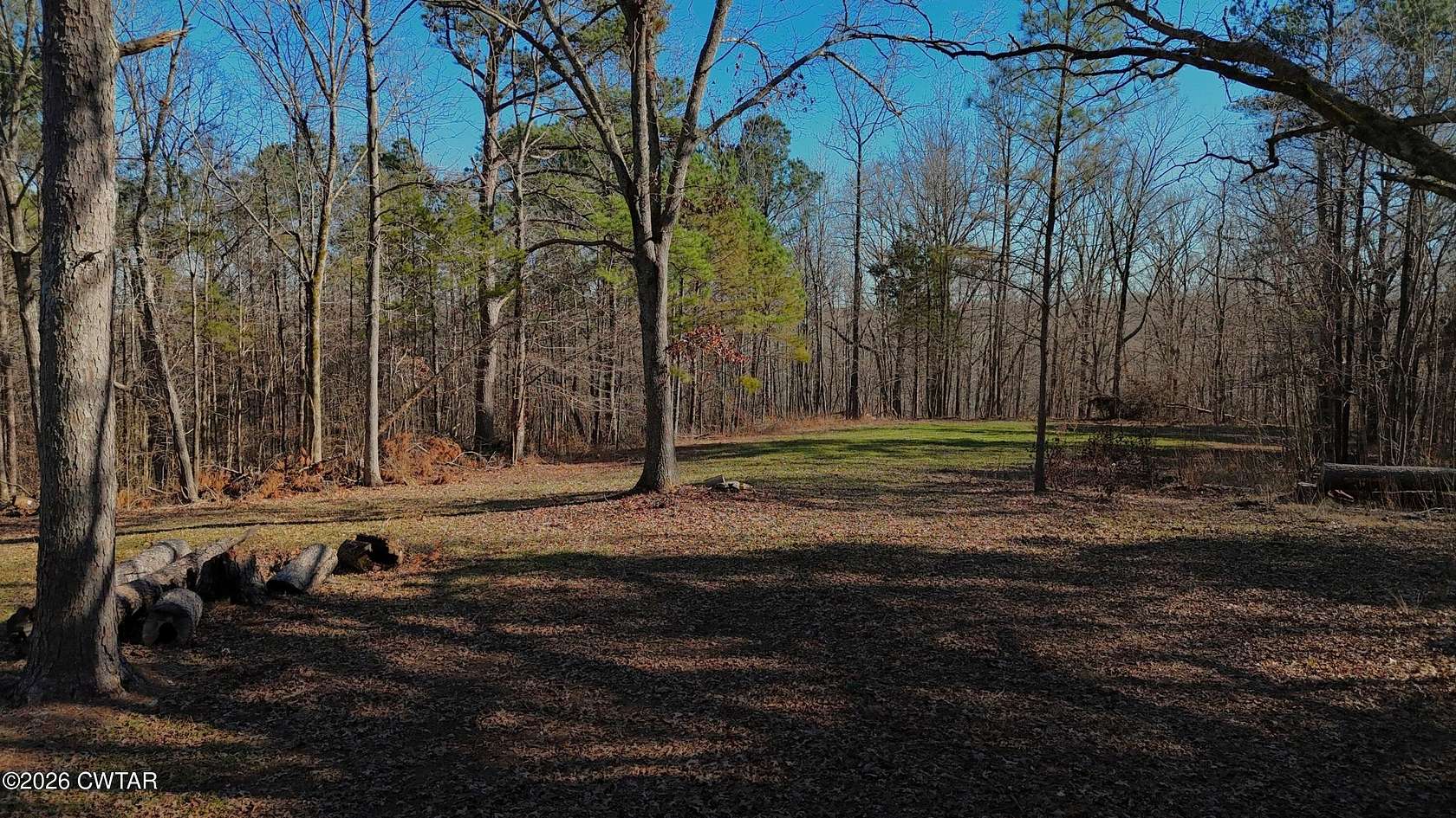 135 Acres of Recreational Land for Sale in Cedar Grove, Tennessee