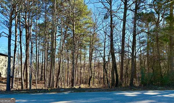 1 Acre of Residential Land for Sale in Buford, Georgia