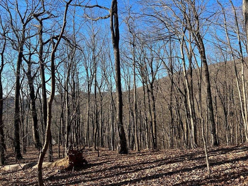 1 Acre of Residential Land for Sale in Jasper, Georgia