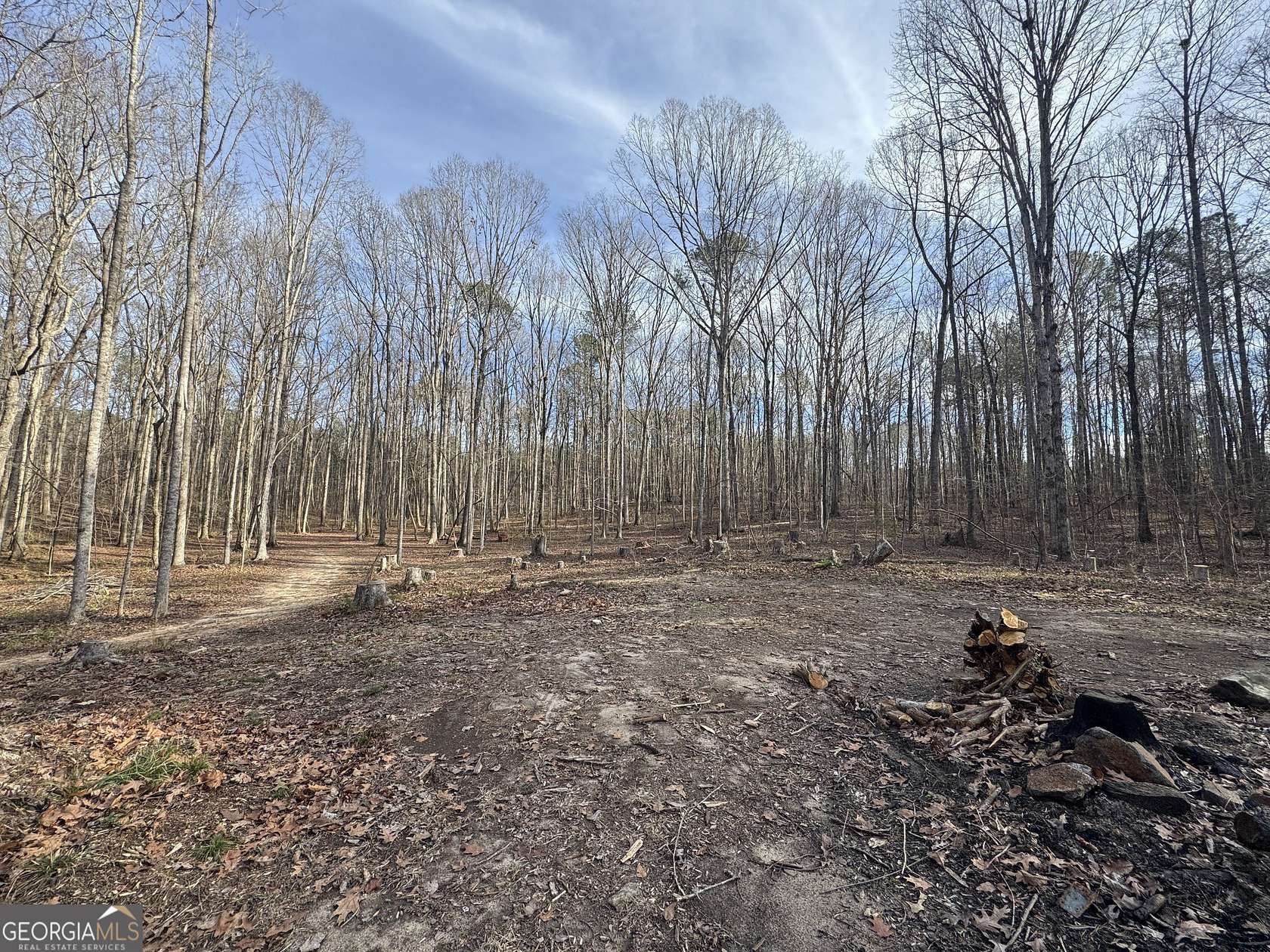 7.23 Acres of Residential Land for Sale in Franklin, Georgia