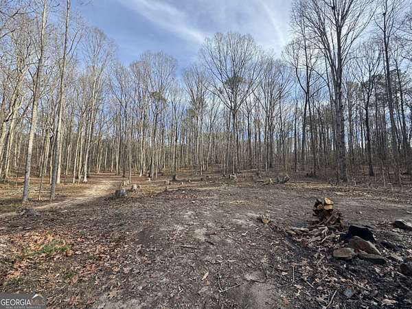 7.23 Acres of Residential Land for Sale in Franklin, Georgia