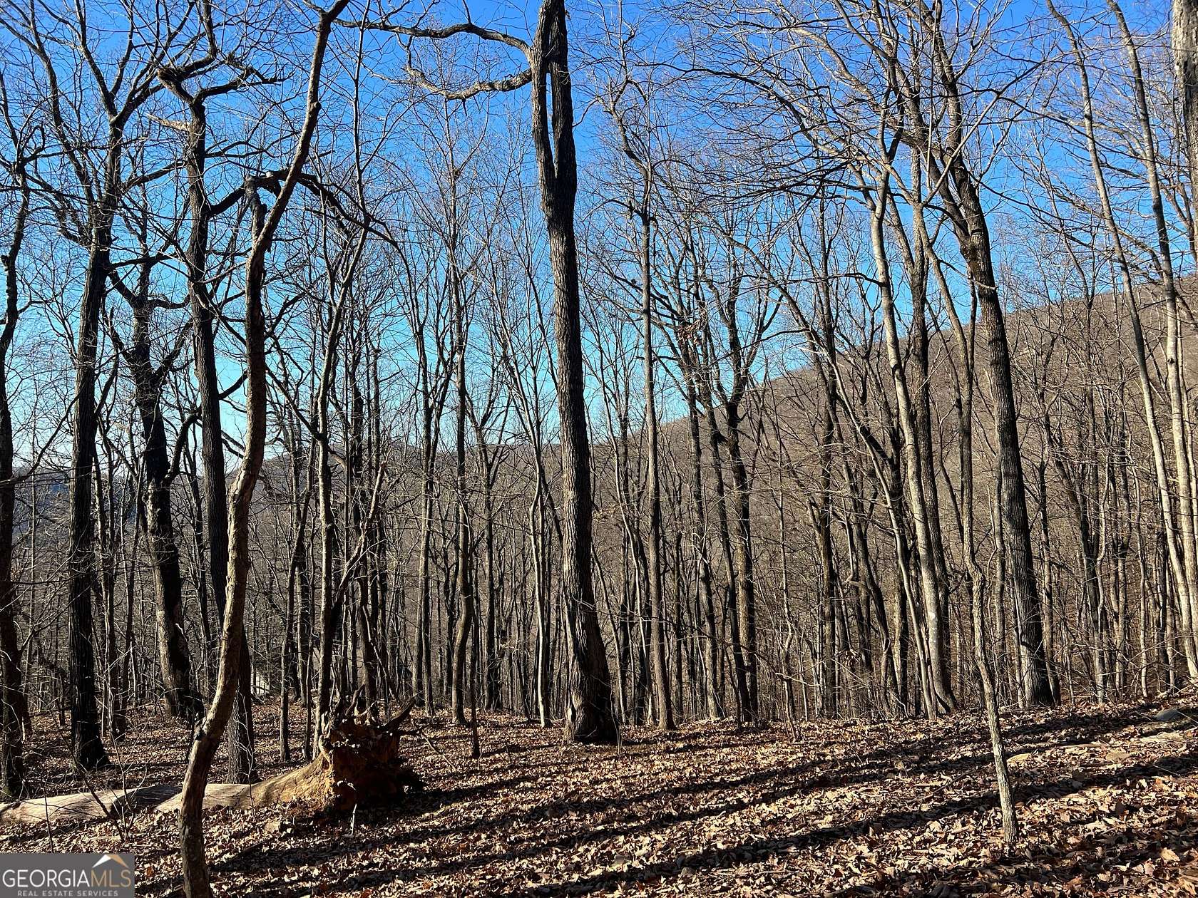 1 Acre of Land for Sale in Jasper, Georgia