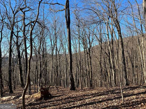 1 Acre of Land for Sale in Jasper, Georgia