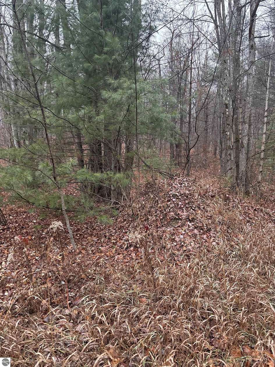 15.1 Acres of Land for Sale in Interlochen, Michigan