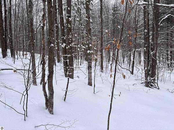 1 Acre of Land for Sale in Interlochen, Michigan