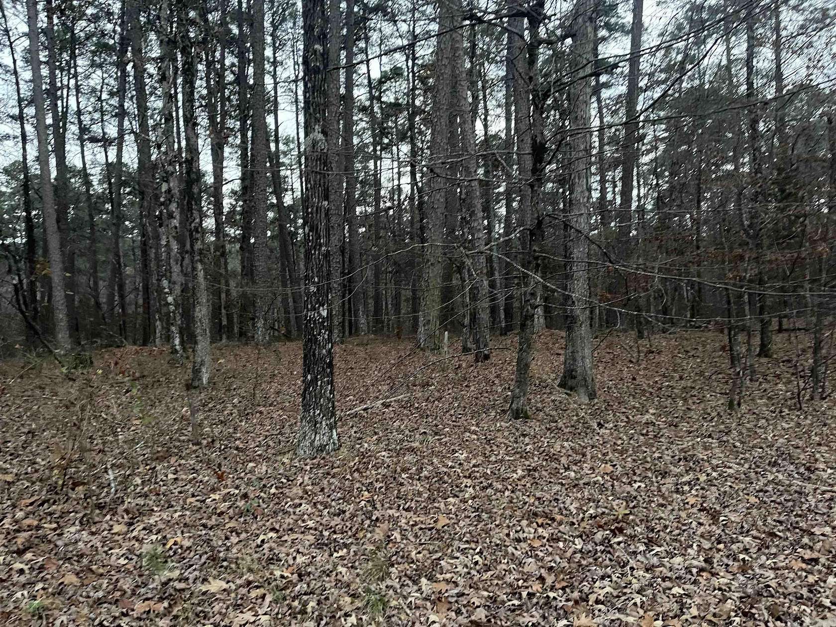 0.22 Acres of Residential Land for Sale in Hot Springs Village, Arkansas