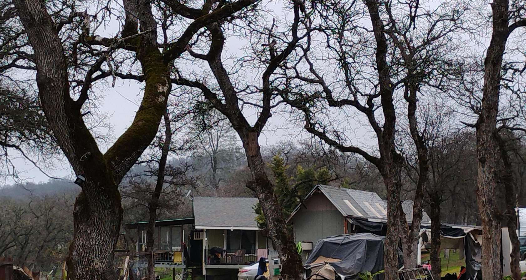 5 Acres of Land with Home for Auction in Palermo, California