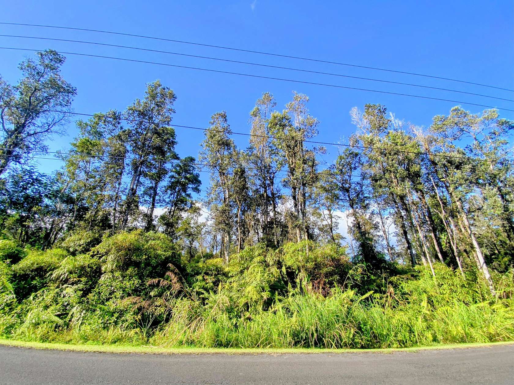 1 Acre of Residential Land for Sale in Pahoa, Hawaii