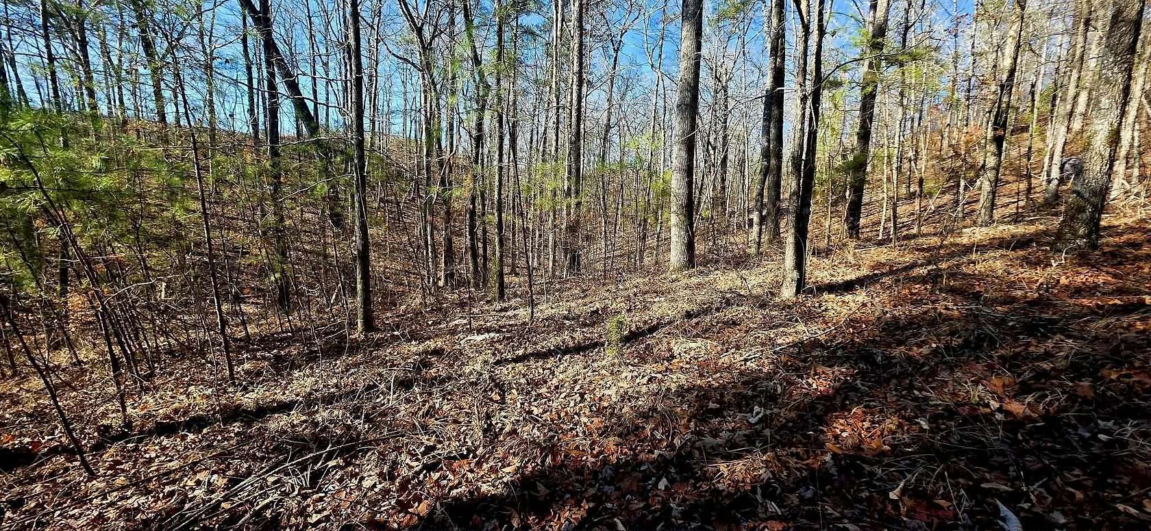 1.5 Acres of Residential Land for Sale in Double Springs, Alabama