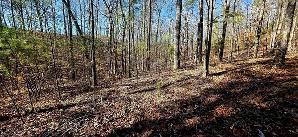 1.5 Acres of Residential Land for Sale in Double Springs, Alabama