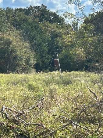 82 Acres of Recreational Land & Farm for Sale in Headsville, Texas