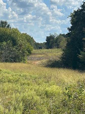 82 Acres of Recreational Land & Farm for Sale in Headsville, Texas