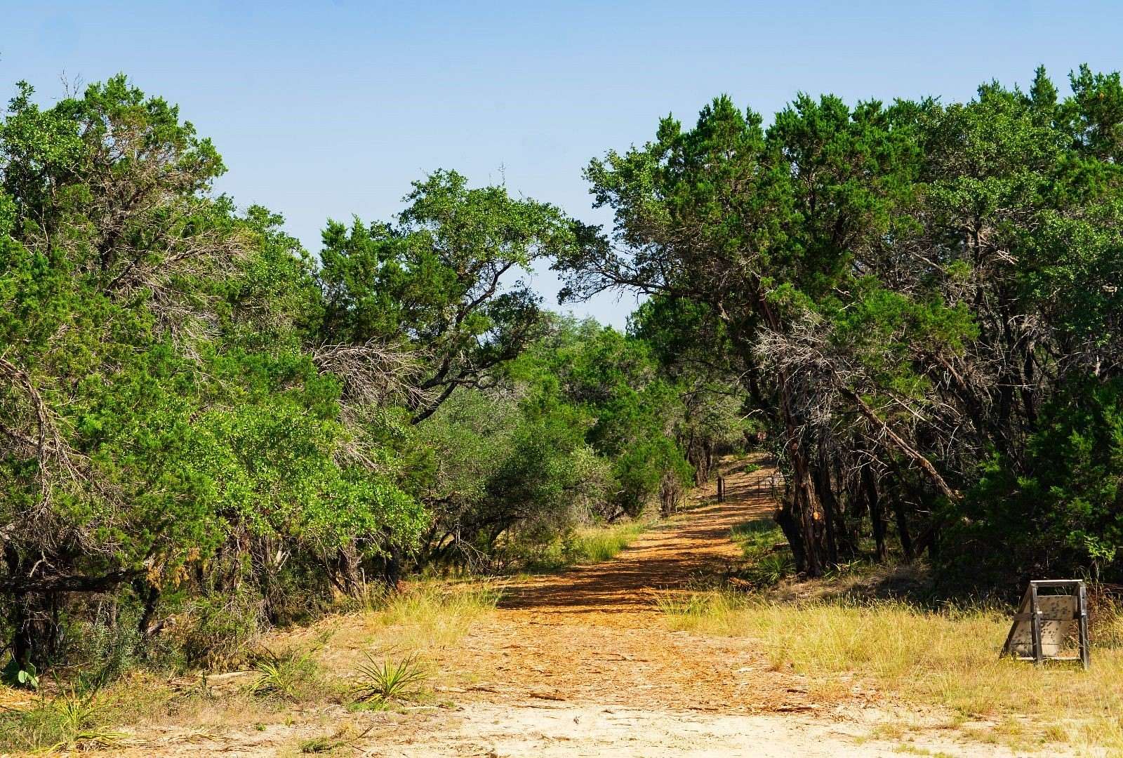 40 Acres of Land for Sale in Spicewood, Texas