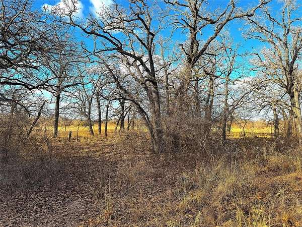 36 Acres of Land for Sale in Poolville, Texas