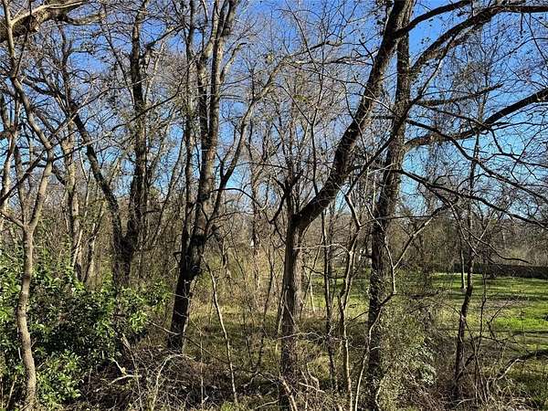 0.35 Acres of Residential Land for Sale in Gun Barrel City, Texas