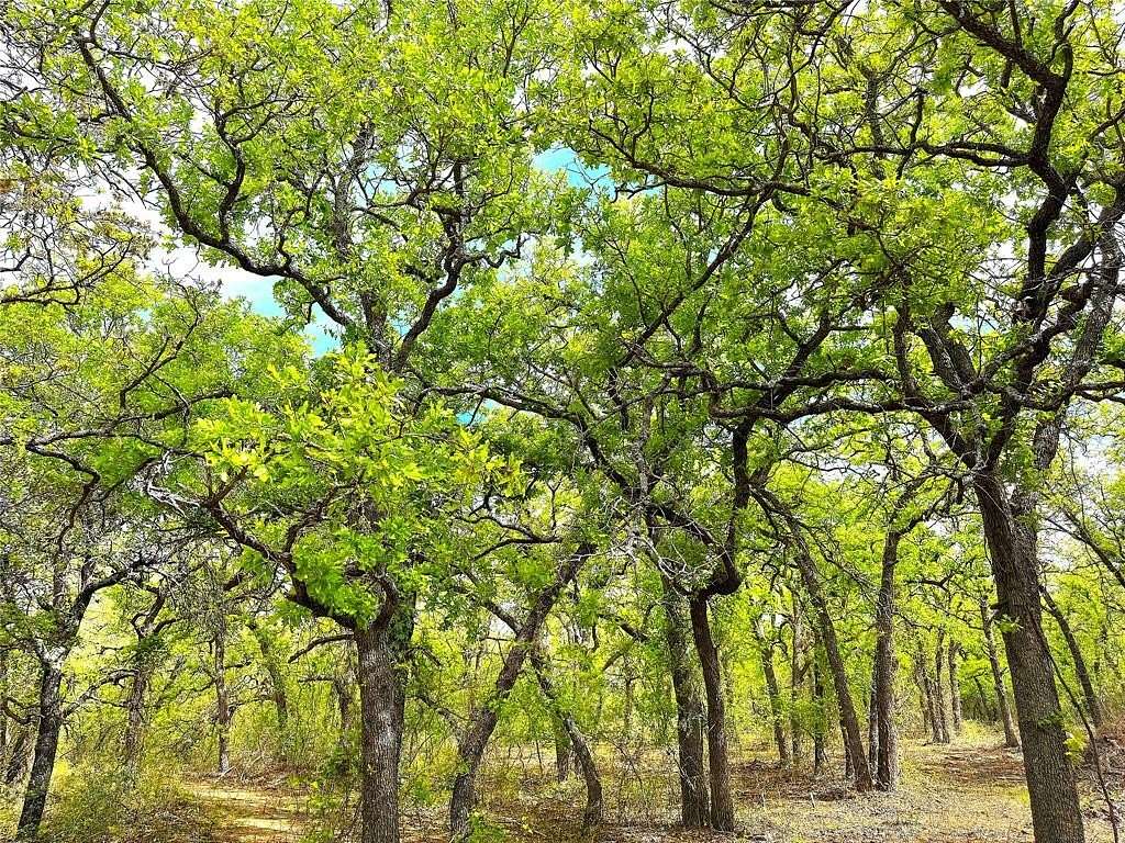 55 Acres of Land for Sale in Poolville, Texas