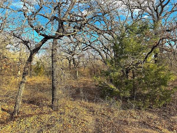 55 Acres of Land for Sale in Poolville, Texas