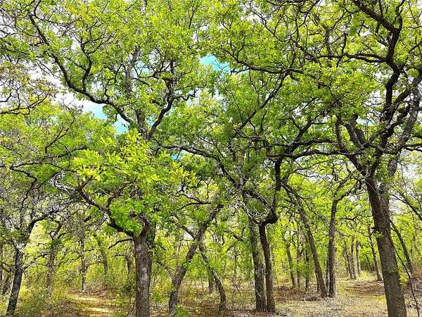 55 Acres of Land for Sale in Poolville, Texas