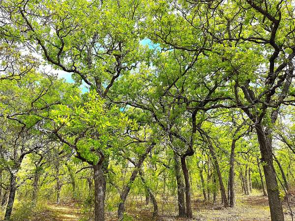 55 Acres of Land for Sale in Poolville, Texas