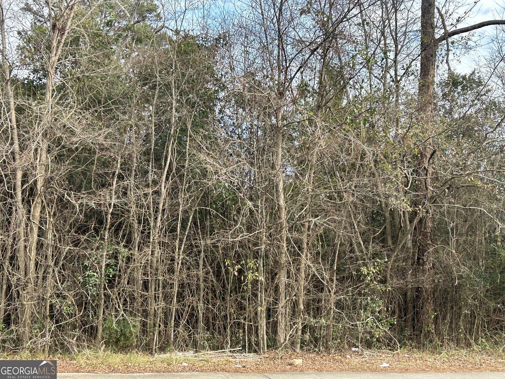0.98 Acres of Residential Land for Sale in Macon, Georgia