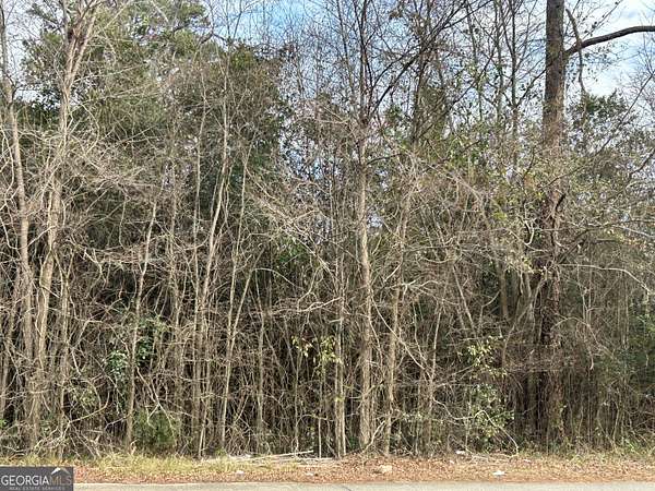 0.98 Acres of Residential Land for Sale in Macon, Georgia