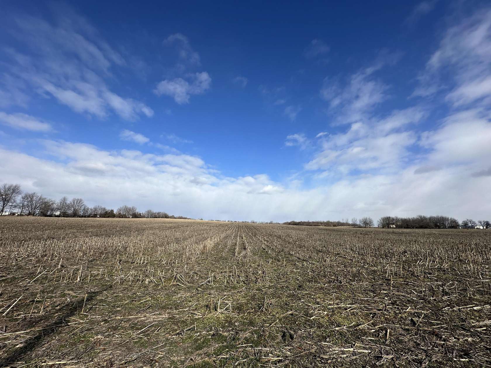 61.2 Acres of Land for Sale in Marionville, Missouri