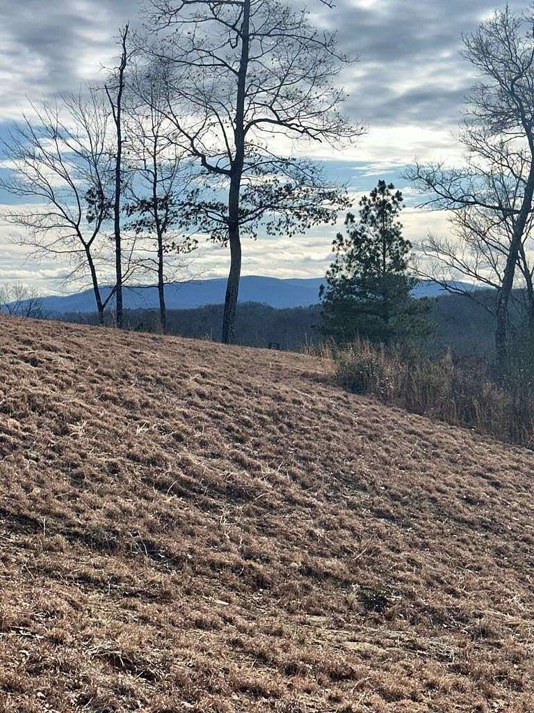0.47 Acres of Residential Land for Sale in Mineral Bluff, Georgia