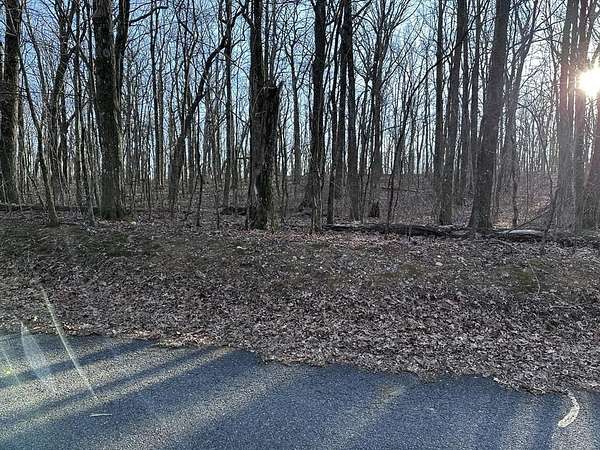 3 Acres of Residential Land for Sale in Ellijay, Georgia