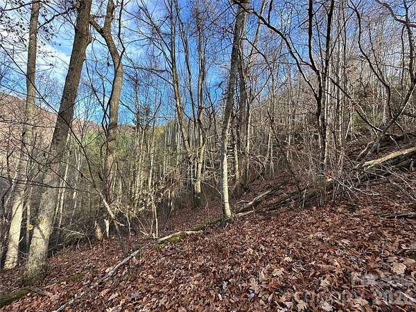 2.74 Acres of Residential Land for Sale in Clyde, North Carolina