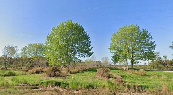 2 Acres of Residential Land for Sale in Naylor, Georgia