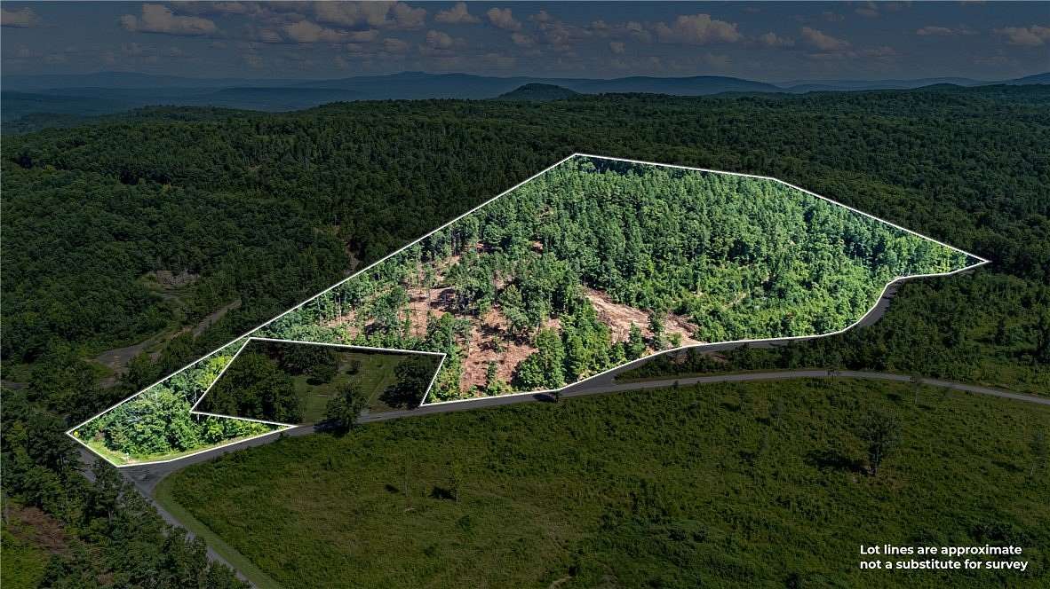 19.3 Acres of Land for Sale in Dover, Arkansas