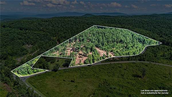 19.3 Acres of Land for Sale in Dover, Arkansas